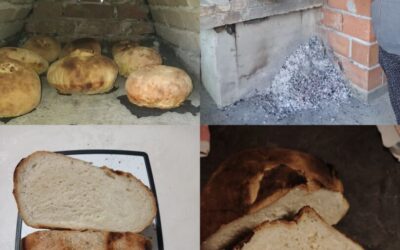 Dan kruha u Lazama 